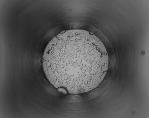 X0000102850427200809081248