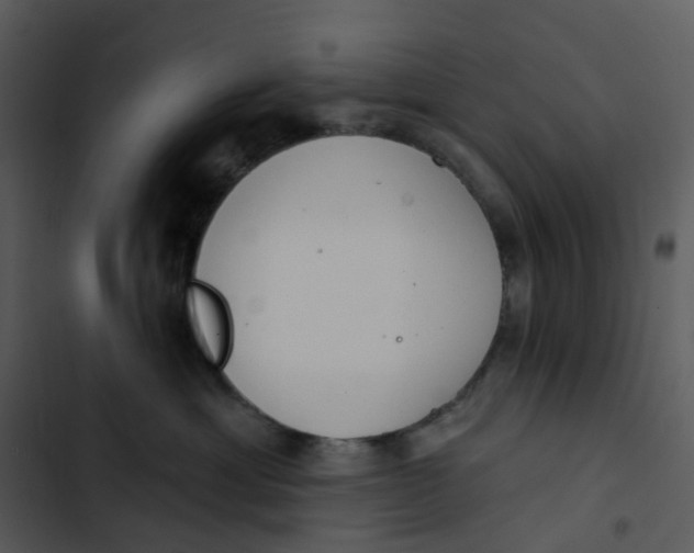 X0000102850429200809081248