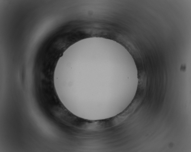 X0000102850430200809081248