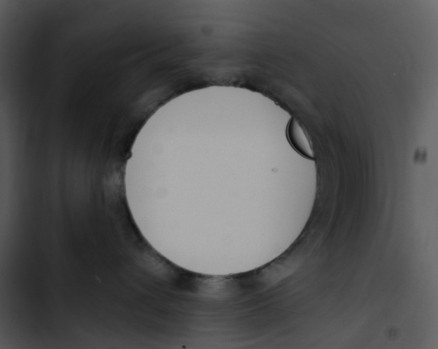 X0000102850432200809081248