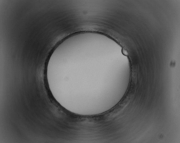 X0000102850434200809081247