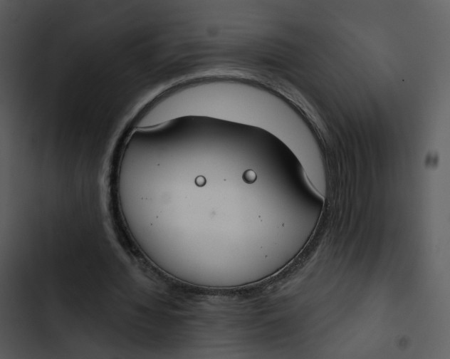 X0000102850436200809081247