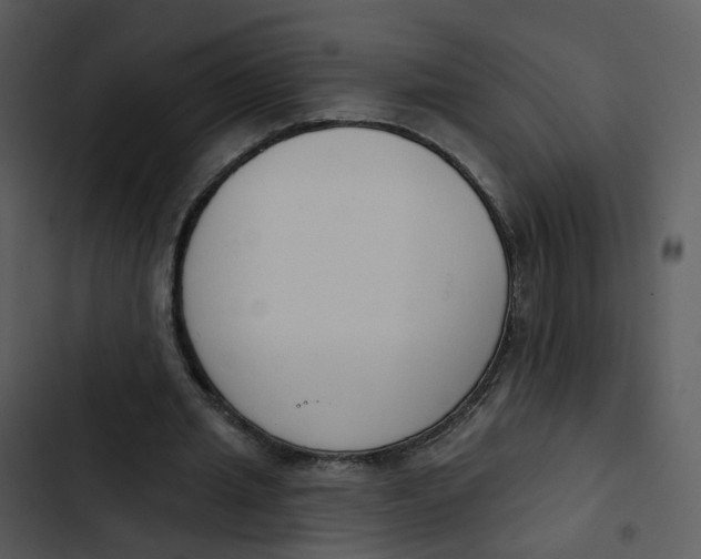 X0000102850437200809081247