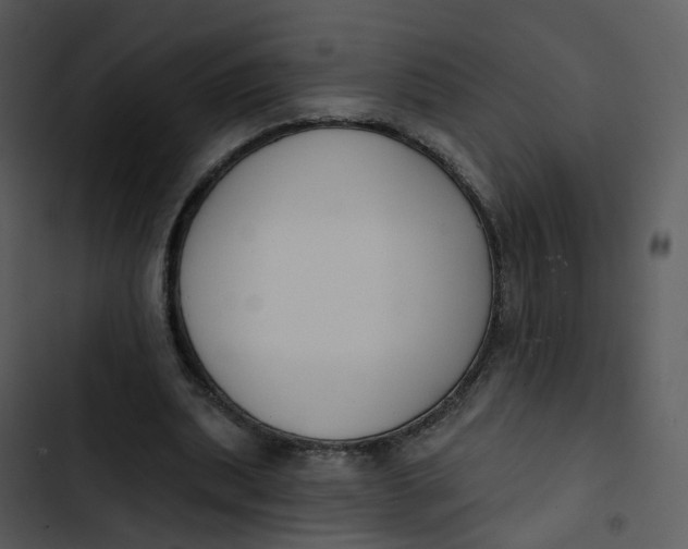 X0000102850439200809081247