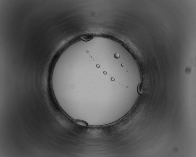 X0000102850440200809081247