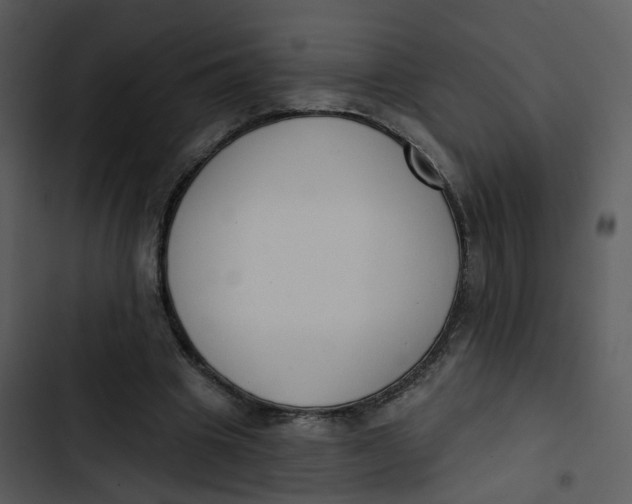 X0000102850441200809081247