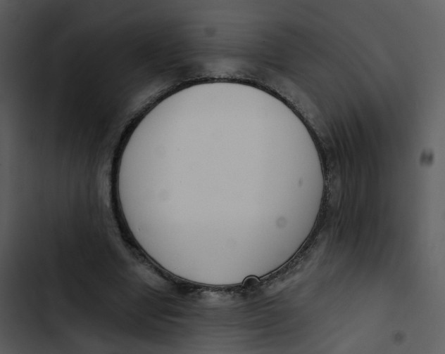 X0000102850442200809081247