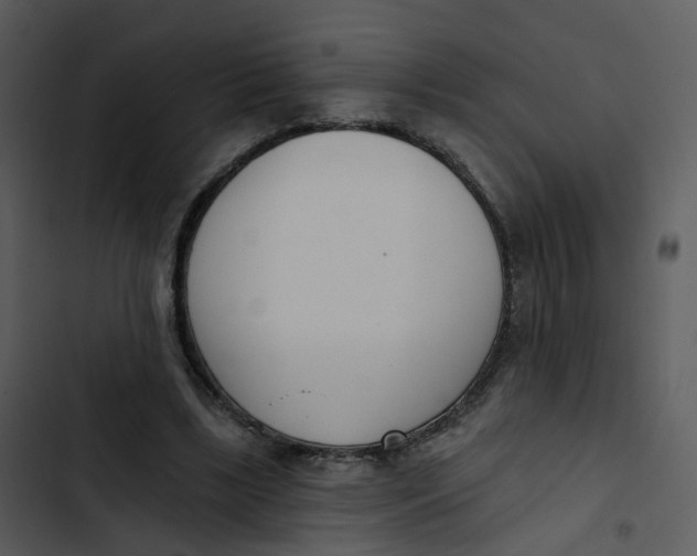 X0000102850443200809081247