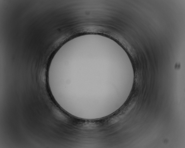 X0000102850445200809081247