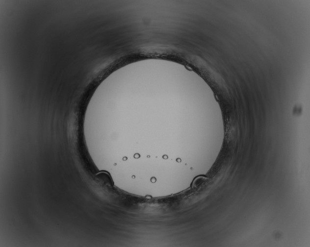 X0000102850448200809081247