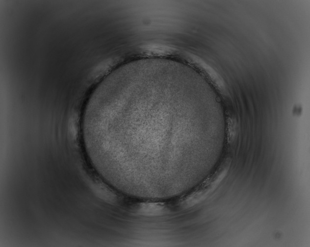 X0000102850451200809081247