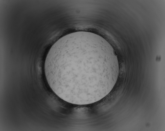 X0000102850452200809081247