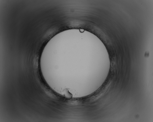 X0000102850454200809081247