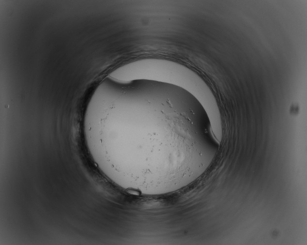 X0000102850456200809081247