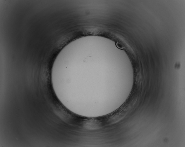 X0000102850459200809081247