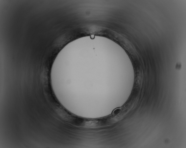 X0000102850461200809081248