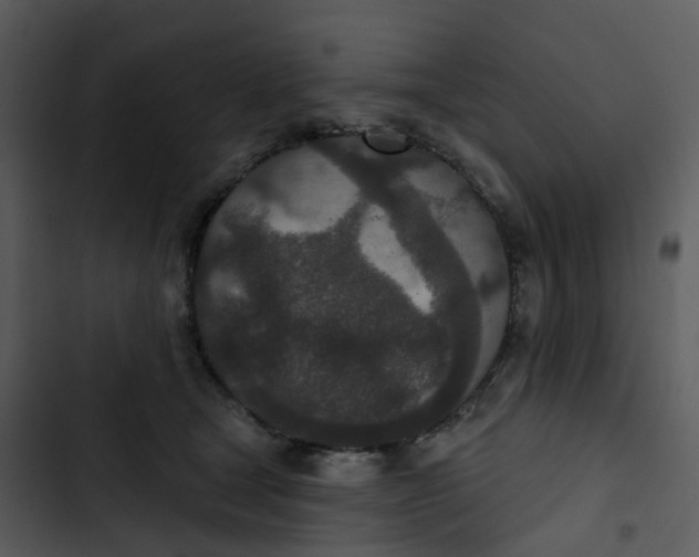 X0000102850465200809081248