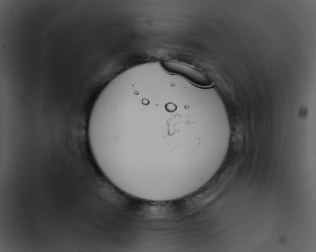 X0000102850466200809081248