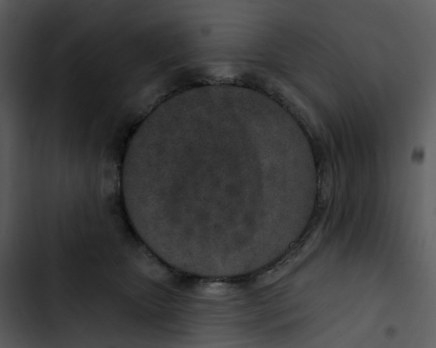 X0000102850467200809081248