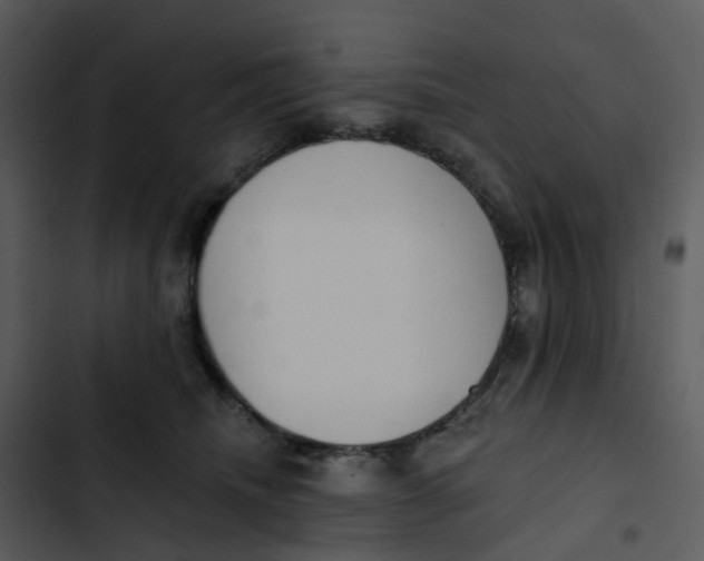 X0000102850468200809081248