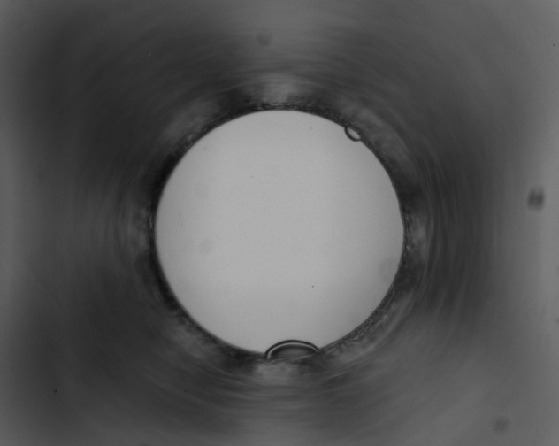 X0000102850470200809081248