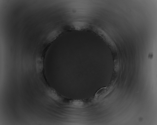 X0000102850471200809081248