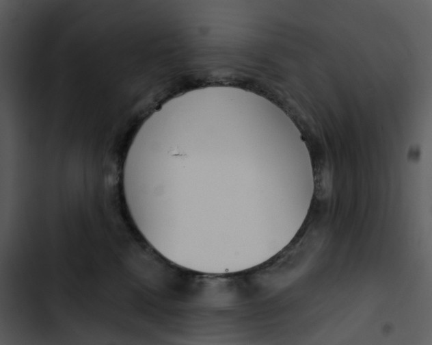 X0000102850472200809081248