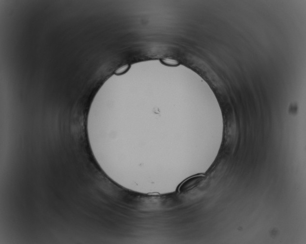 X0000102850473200809081248