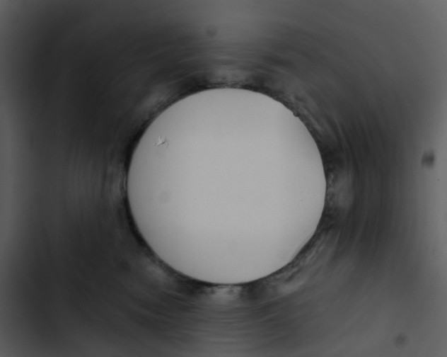 X0000102850474200809081248