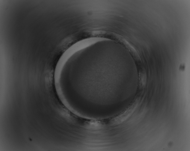 X0000102850475200809081248