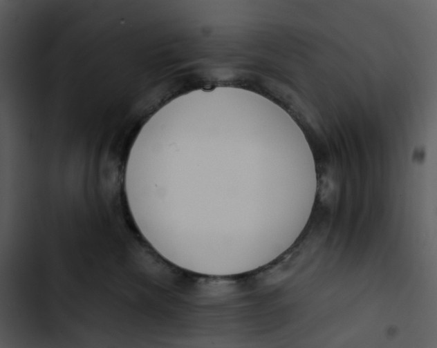 X0000102850476200809081248