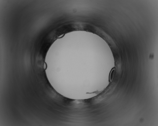 X0000102850477200809081248