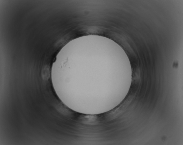 X0000102850478200809081248