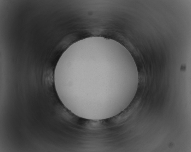 X0000102850479200809081248