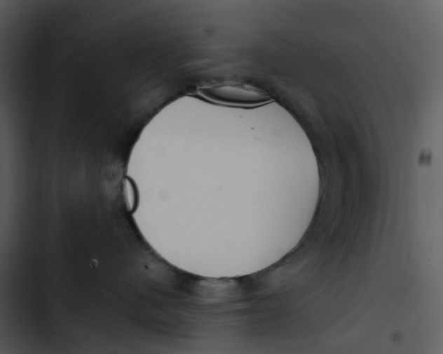 X0000102850480200809081248