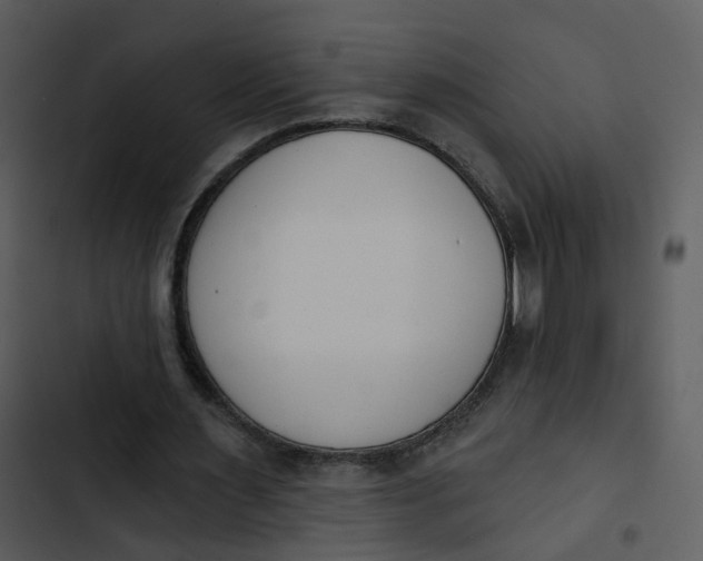 X0000102850483200809081247