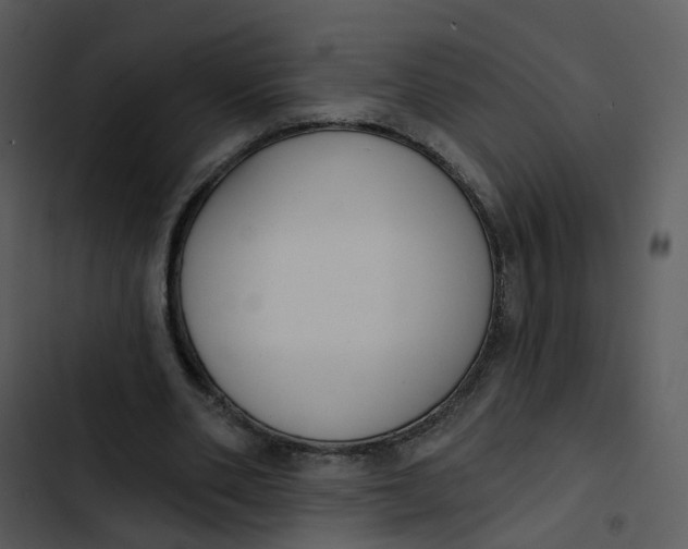 X0000102850486200809081247