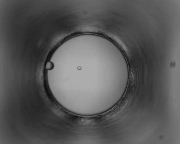 X0000102850487200809081247