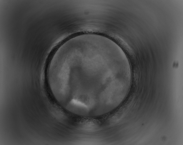 X0000102850488200809081247