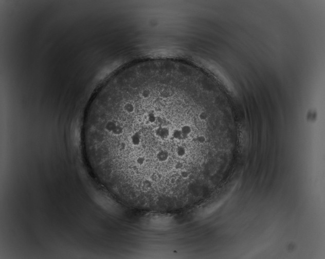 X0000102850491200809081247