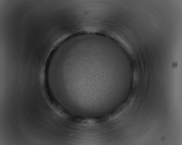 X0000102850492200809081247