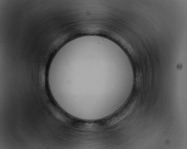 X0000102850493200809081247