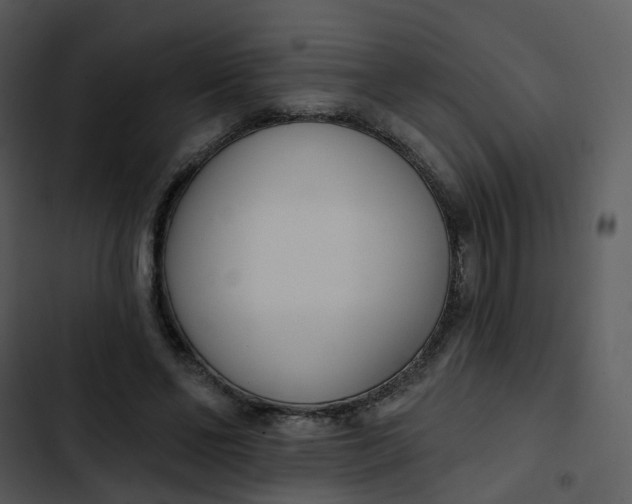 X0000102850494200809081247