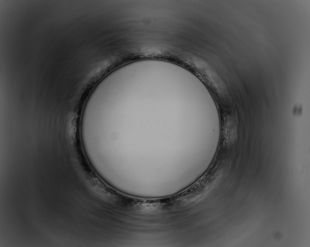 X0000102850495200809081247