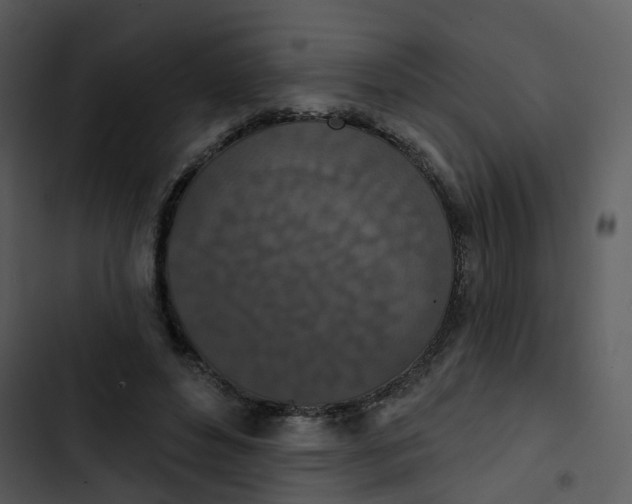 X0000102850496200809081247