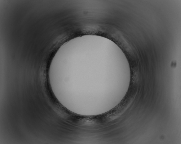 X0000102850498200809081247