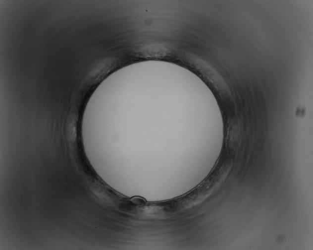 X0000102850501200809081247