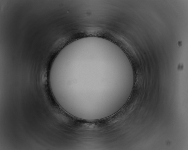 X0000102850502200809081247