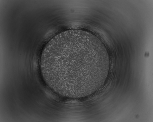 X0000102850503200809081247