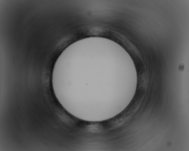 X0000102850505200809081247